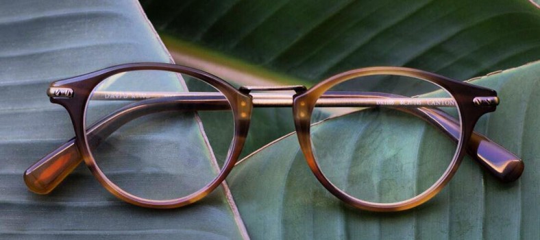 It's an eyewear jungle out there | Photo credit: David Kind